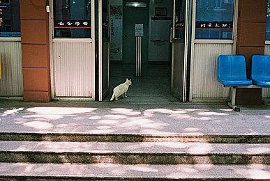 《红墙传奇：侦察兵合集》新发售预告 延期至2024年1月