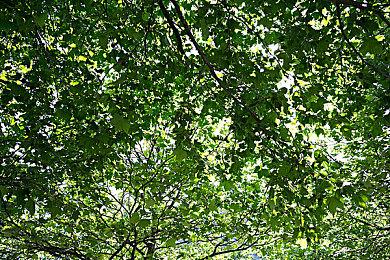 《Vigor》Steam页面上线 经典战斗经营FPS